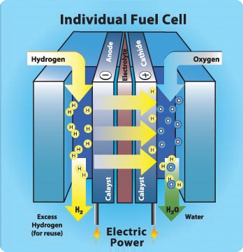 Chemical reaction of hydrogen and oxygen in fuel cells